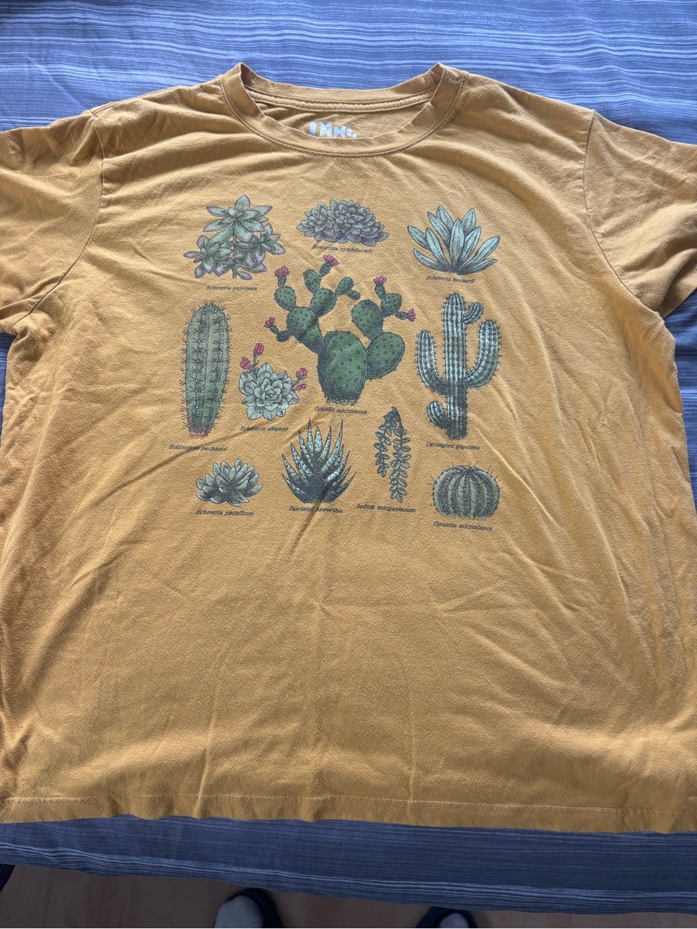 MAD Engine Mustard Yellow Cactus Graphic Tee